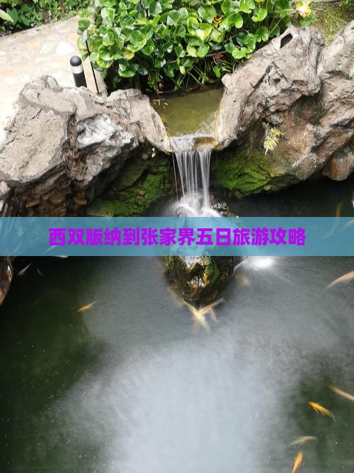 西双版纳去张家界大峡谷五日游