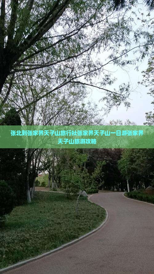 张北到张家界天子山旅行社 张北到张家界天子山旅行社