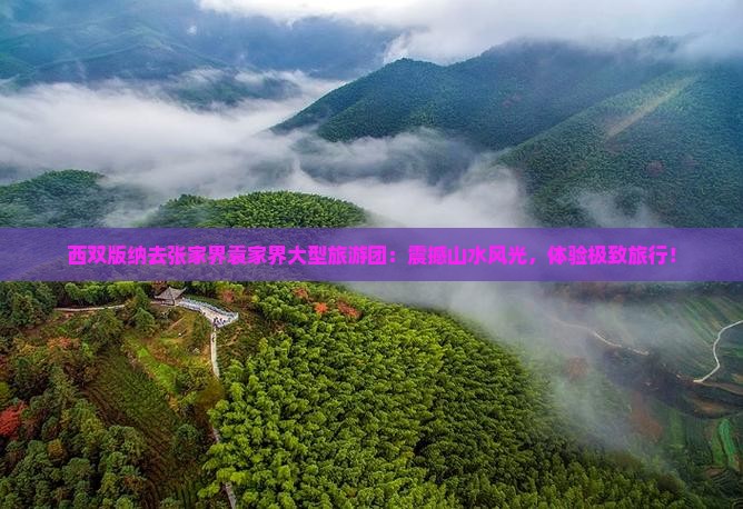 西双版纳去张家界袁家界大型旅游团