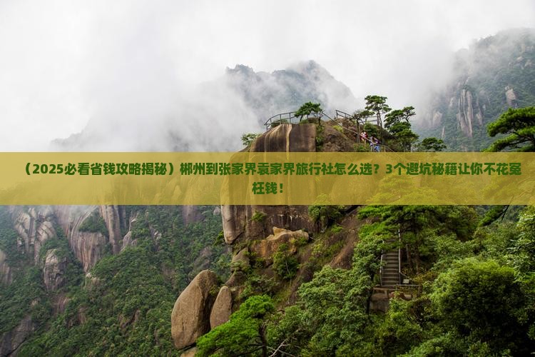 郴州到张家界袁家界旅行社