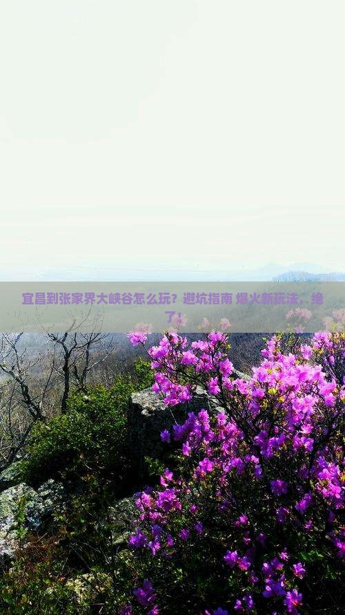 宜昌到张家界大峡谷哪里玩