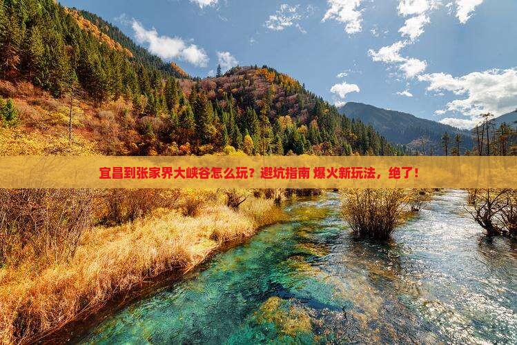 宜昌到张家界大峡谷哪里玩