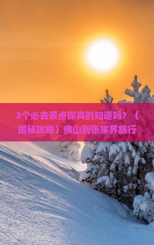 佛山到张家界旅行社