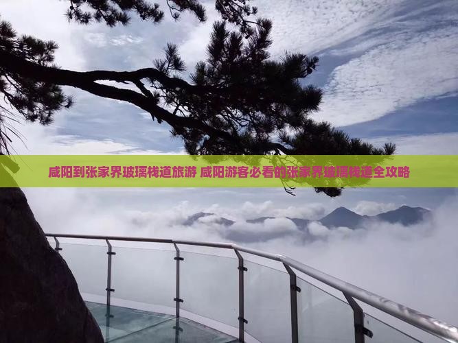 咸阳到张家界玻璃栈道旅游