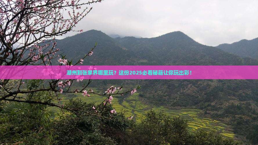 湖州到张家界哪里玩