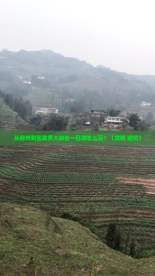 柳州去张家界大峡谷一日