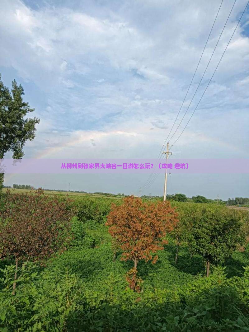 柳州去张家界大峡谷一日
