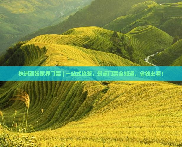 株洲到张家界门票