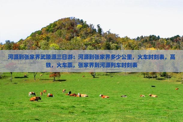 河源到张家界武陵源三日游