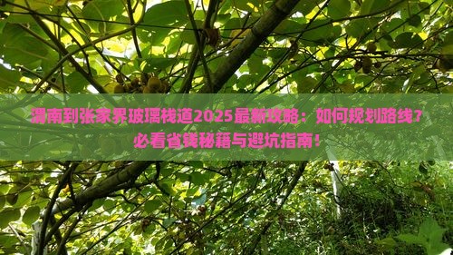 渭南到张家界玻璃栈道攻略