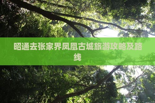 昭通去张家界凤凰古城景点