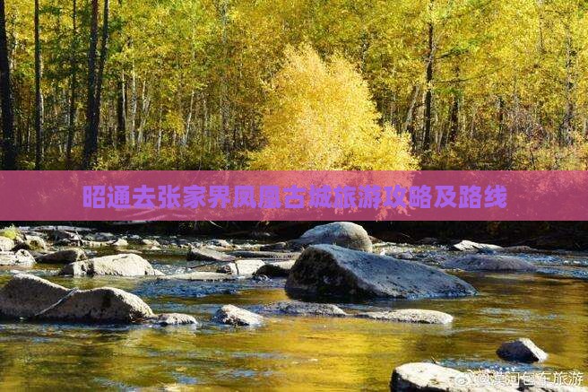 昭通去张家界凤凰古城景点