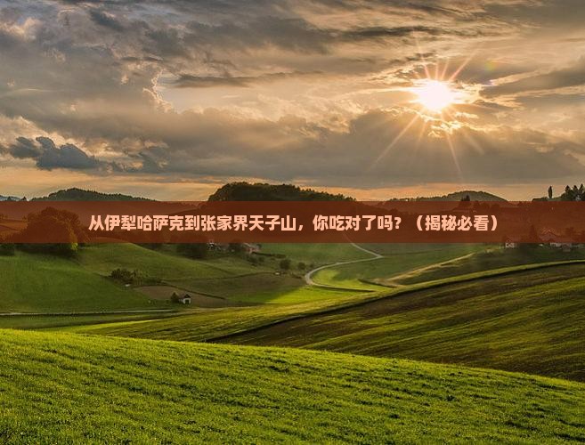 伊犁哈萨克到张家界天子山旅游小吃