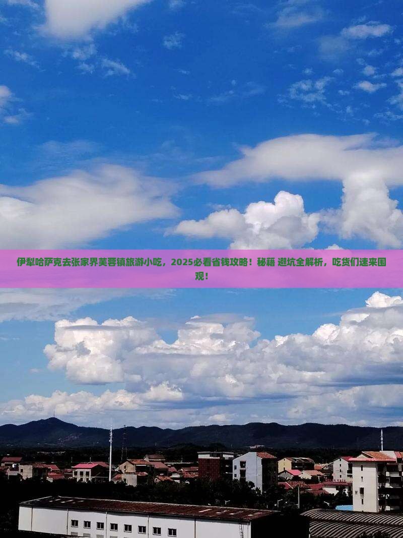 伊犁哈萨克去张家界芙蓉镇旅游小吃