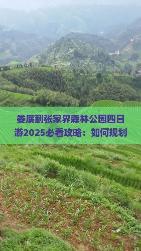 娄底到张家界森林公园四日游
