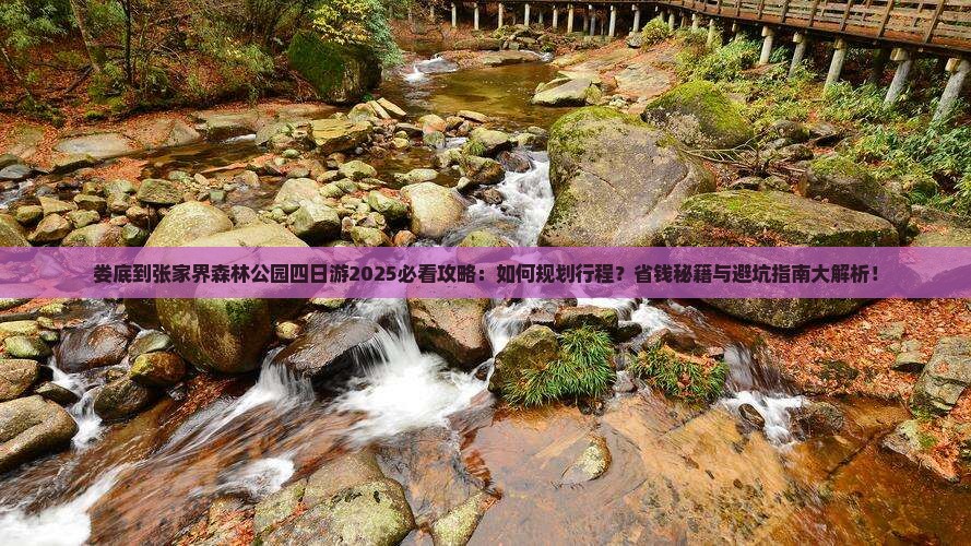 娄底到张家界森林公园四日游