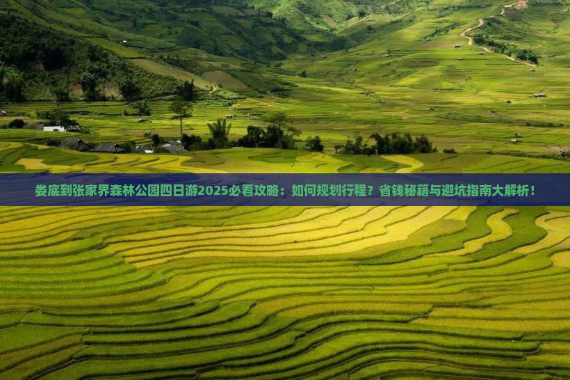 娄底到张家界森林公园四日游