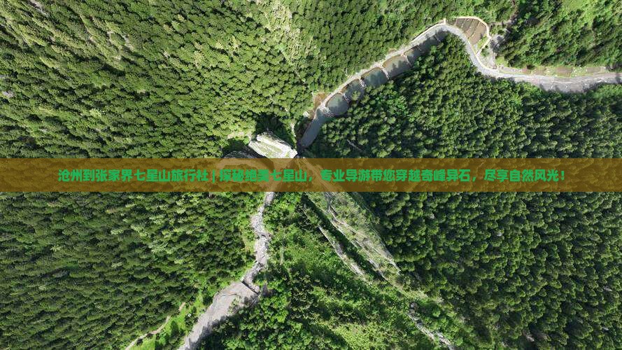 沧州到张家界七星山旅行社