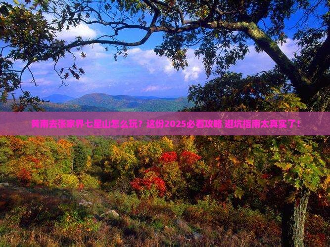 黄南去张家界七星山哪里玩