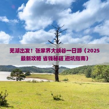 芜湖去张家界大峡谷一日