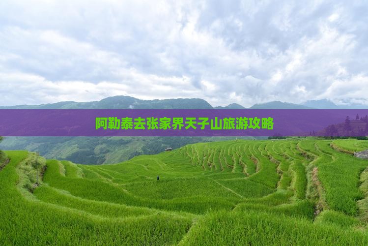 阿泰勒去张家界天子山哪里玩