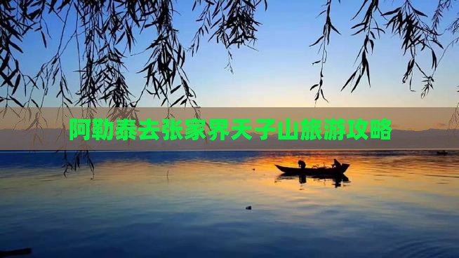 阿泰勒去张家界天子山哪里玩