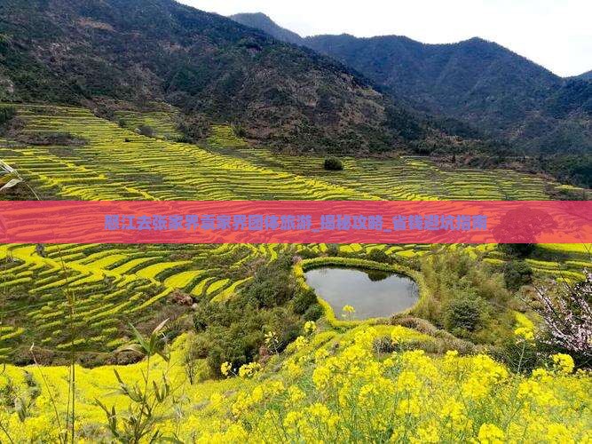 怒江去张家界袁家界团体旅游