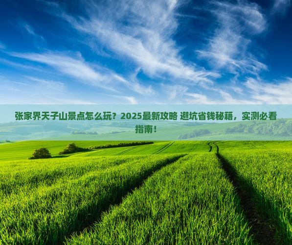 张家界去张家界天子山景点