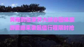 黄南到张家界大峡谷团体旅游