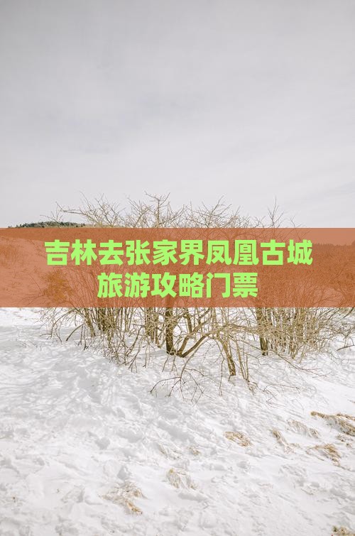 吉林去张家界凤凰古城门票