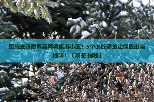 恩施去张家界芙蓉镇旅游小吃