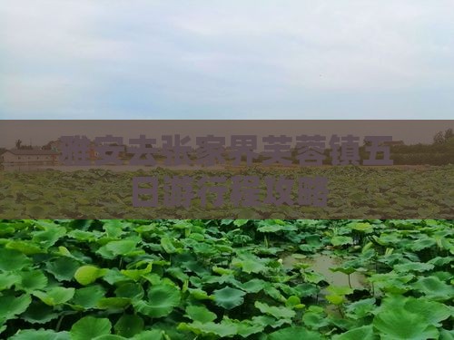 雅安去张家界芙蓉镇五日游
