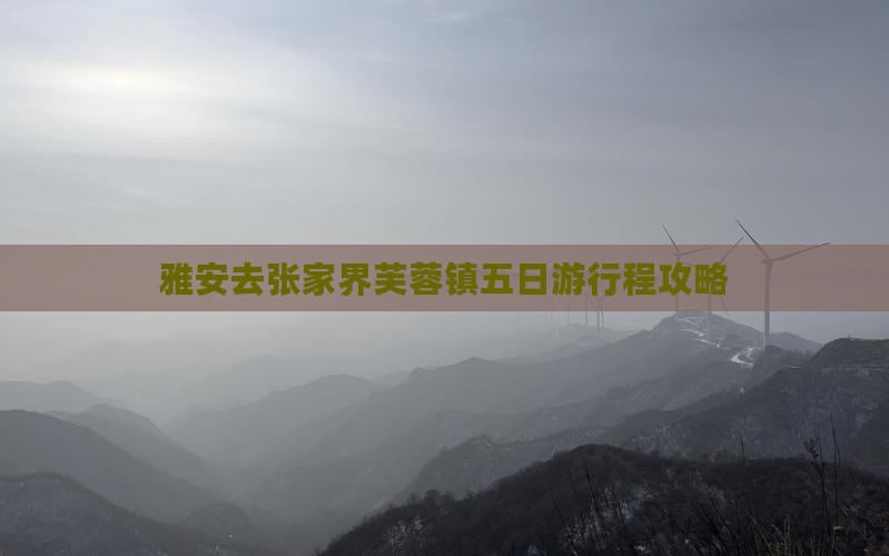 雅安去张家界芙蓉镇五日游