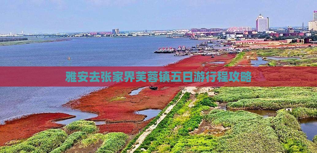 雅安去张家界芙蓉镇五日游