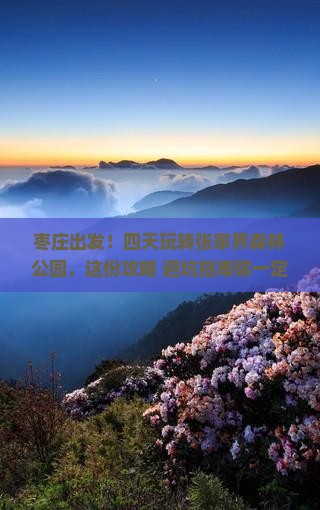 枣庄到张家界森林公园四日游