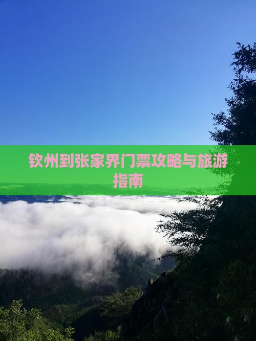 钦州到张家界门票