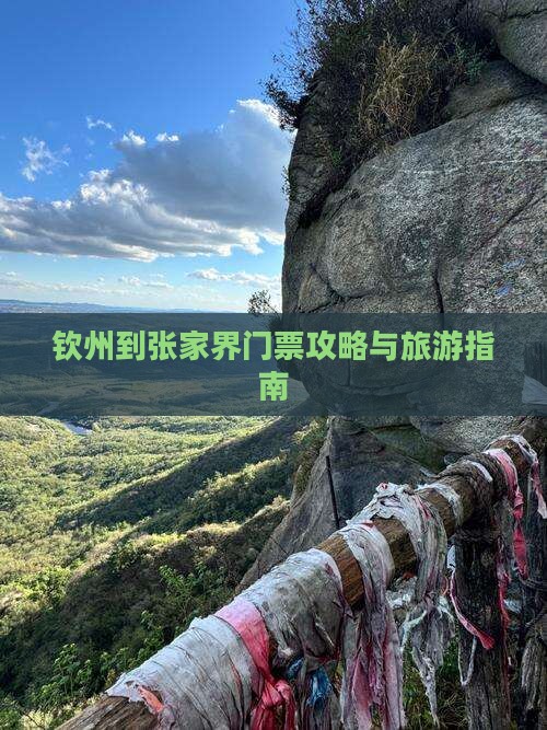 钦州到张家界门票