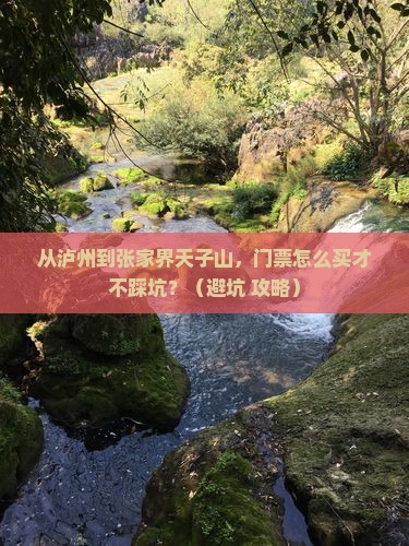 泸州到张家界天子山门票