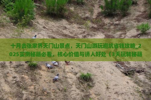 十月去张家界天门山景点