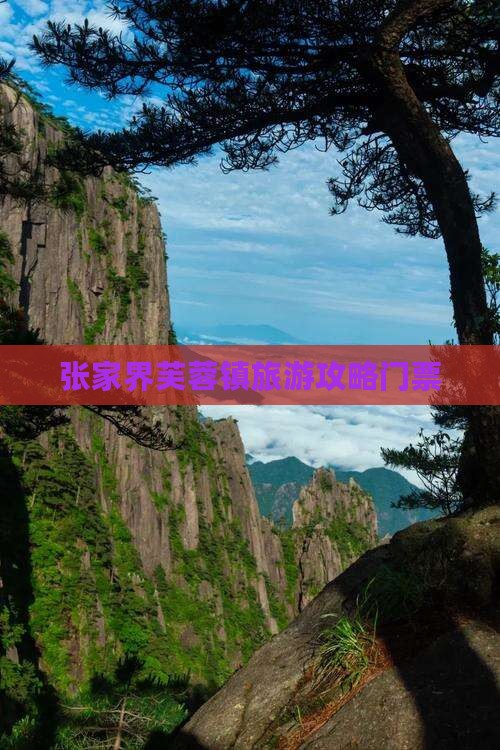 通化去张家界芙蓉镇门票