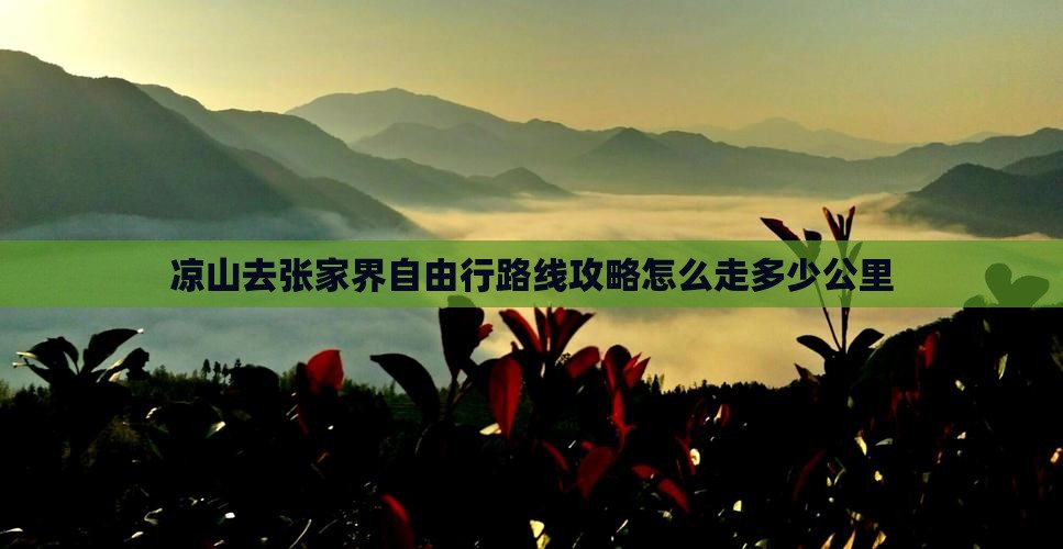 凉山去张家界自由行