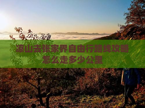 凉山去张家界自由行