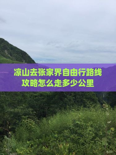 凉山去张家界自由行