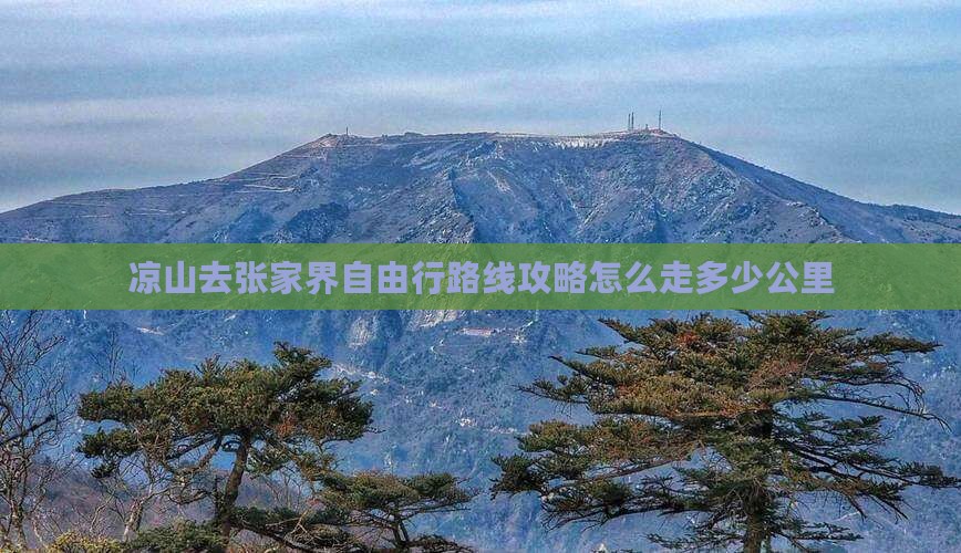 凉山去张家界自由行
