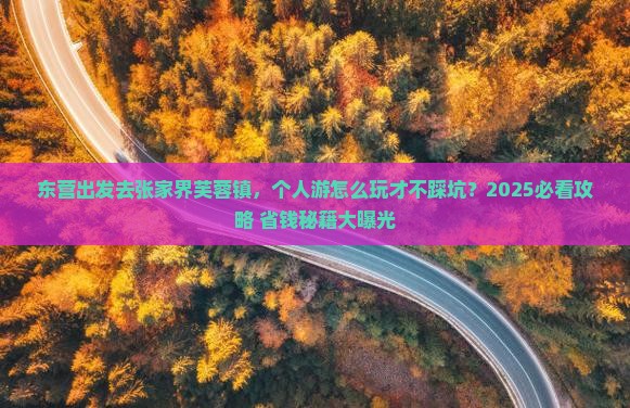 东营去张家界芙蓉镇个人游