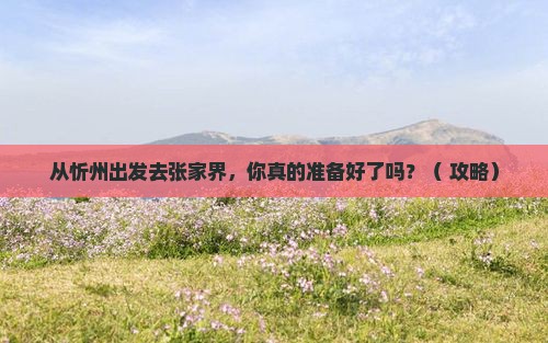 忻州到张家界景点