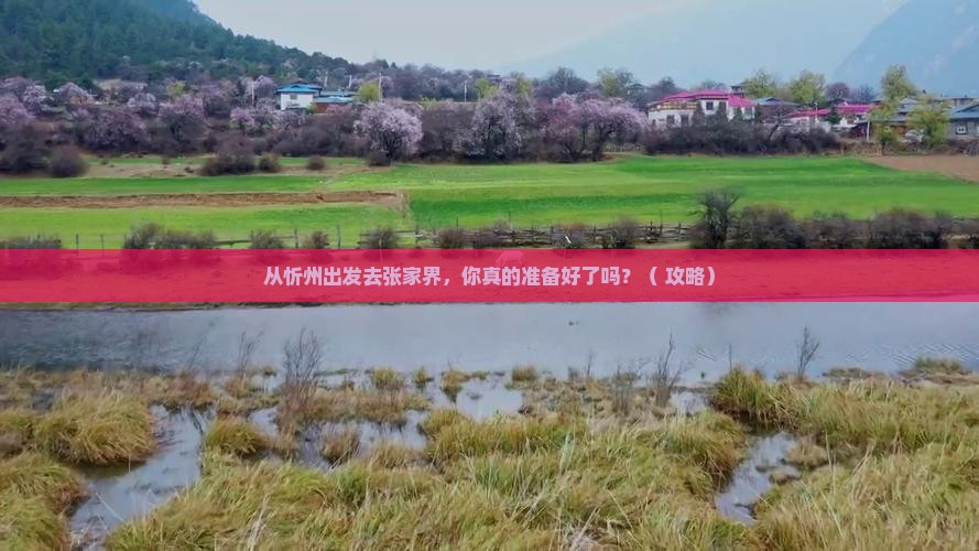 忻州到张家界景点