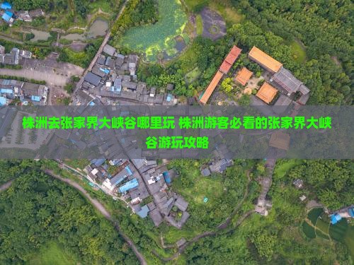 株洲去张家界大峡谷哪里玩