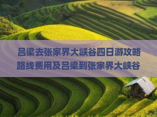吕梁去张家界大峡谷四日游
