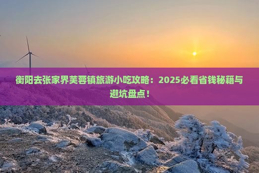 衡阳去张家界芙蓉镇旅游小吃